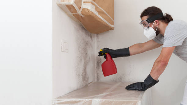 Professional Crawl Space Mold Removal technician working in New Paris, PA